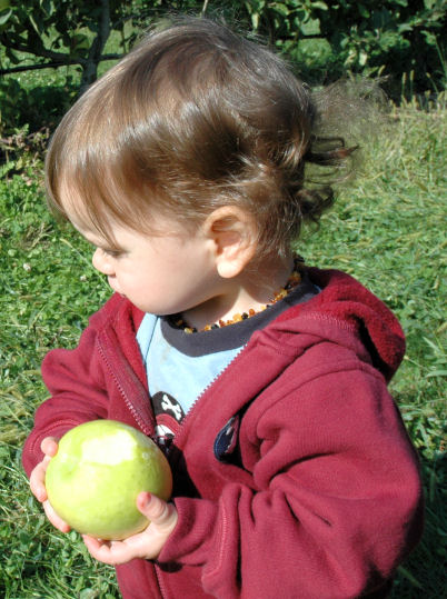 An apple in hand is worth two on the tree, an apple in the tummy is even better though!