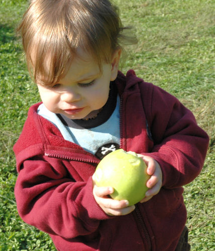 This apple is yummy!
