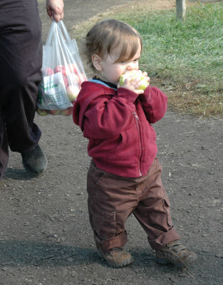 You carry the bags of apples Daddy, Ill eat mine