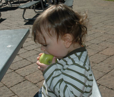 eating an apple